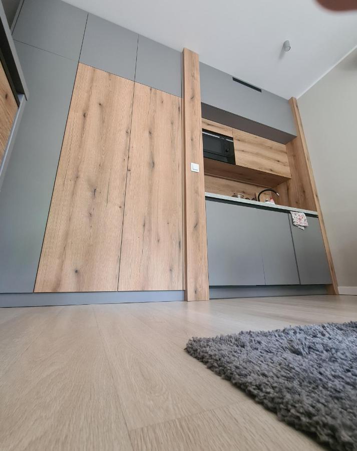 פוזנן Mostowa 23 Bruno Apartment, Self Check-In 24H, Free Parking, Air-Conditioning מראה חיצוני תמונה