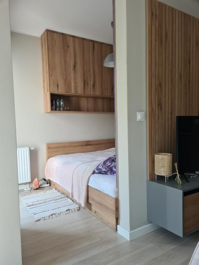 פוזנן Mostowa 23 Bruno Apartment, Self Check-In 24H, Free Parking, Air-Conditioning מראה חיצוני תמונה